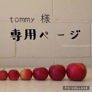 tommy様専用☆上靴入れ(バッグ/レッスンバッグ)