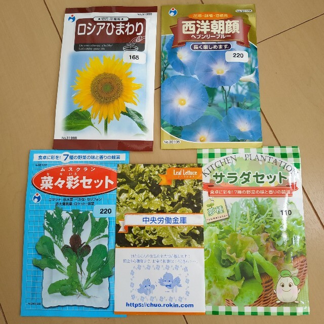 夏のお花とサラダ系野菜の種セット その他のその他(その他)の商品写真