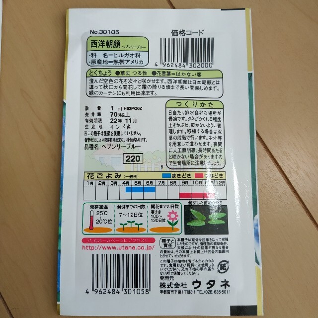 夏のお花とサラダ系野菜の種セット その他のその他(その他)の商品写真