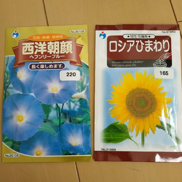 夏のお花とサラダ系野菜の種セット その他のその他(その他)の商品写真