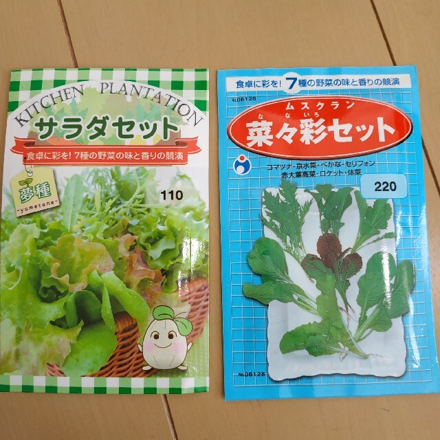 夏のお花とサラダ系野菜の種セット その他のその他(その他)の商品写真