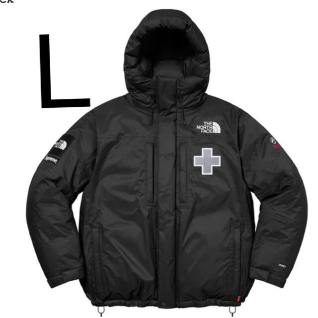 The North Face Summit Series Rescue Lサイズ