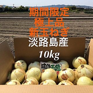 ★極上品★ 期間限定　淡路島産　新玉ねぎ　10kg 新タマネギ(野菜)