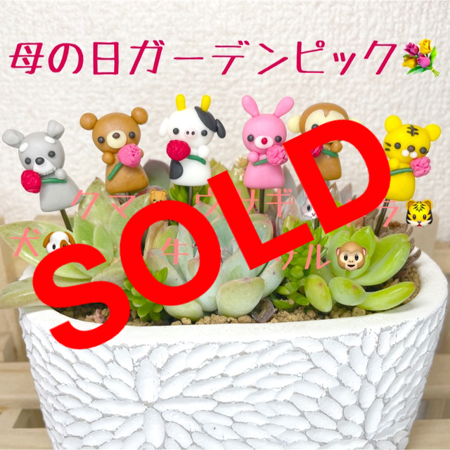 大人気新品 ハンドメイド ガーデンピック 動物さんの母の日ピック 多肉植物 その他 ガーデンピック21 熱帯魚① 3本セット 寄せ植え