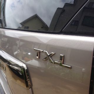 純正 ランドクルーザープラド 150 漆黒 ブラックメッキ TX-Lエンブレム