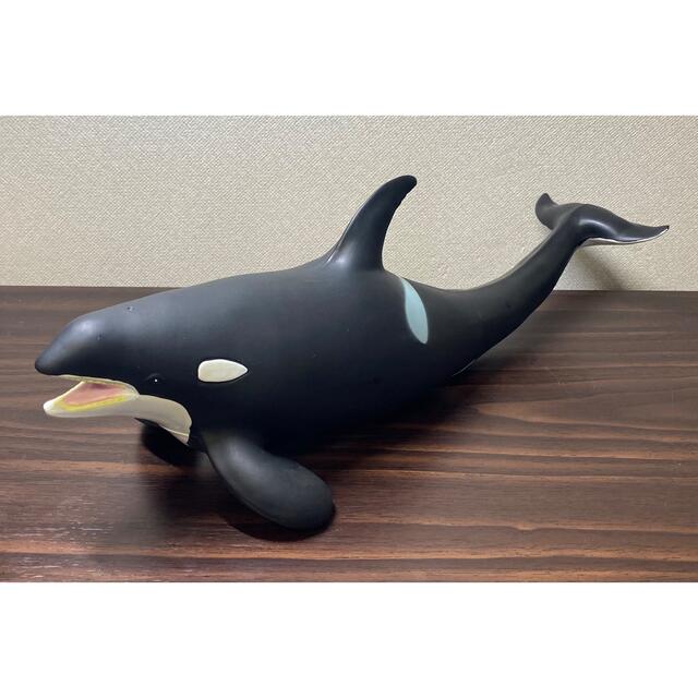 名古屋水族館 特大シャチ ベルーガ ぬいぐるみセット ぬいぐるみ | man