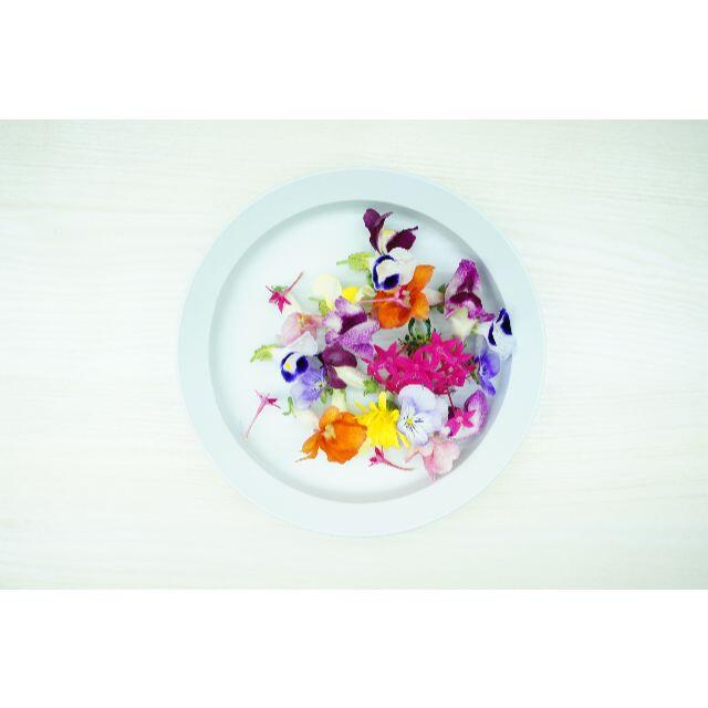 3.エディブルフラワー 20輪 mix   食べられるお花で食卓を華やかに　 食品/飲料/酒の食品(野菜)の商品写真