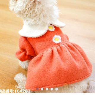 値下げ！犬　服　新品　未使用　M(犬)