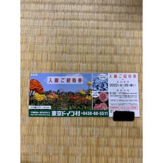 ドイツ村(遊園地/テーマパーク)