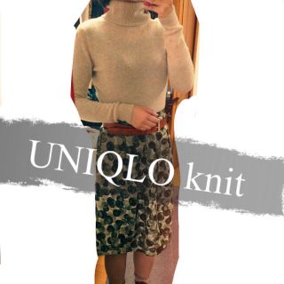 ユニクロ(UNIQLO)のUNIQLOニット(ニット/セーター)