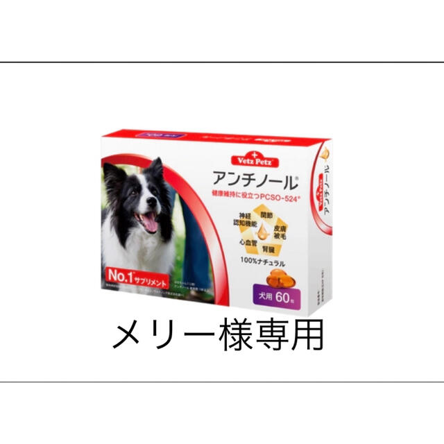 その他60粒　50箱　90粒　20箱の専用出品になります。