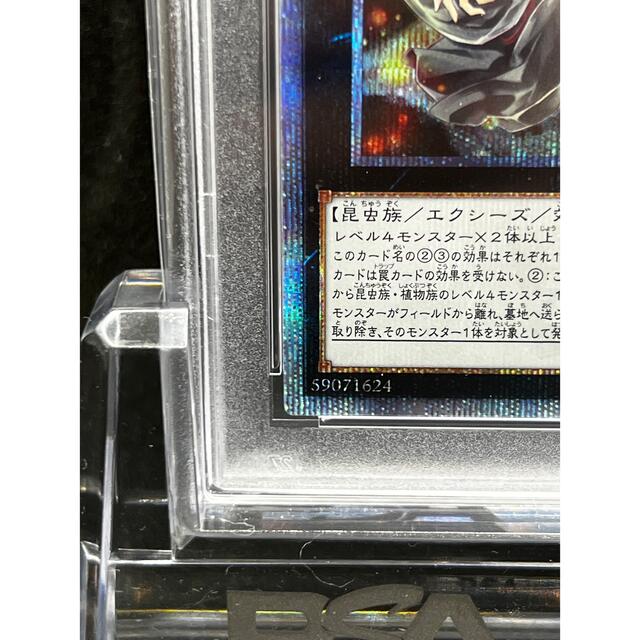 遊戯王 - 【PSA10】遊戯王 アロメルスの蟲惑魔 20thシークレット 遊戯王 - 【PSA10】遊戯王 アロメルスの蟲惑魔 20thシークレット