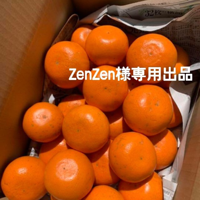 愛媛県産 せとか 箱込み約5Kg 柑橘 ミカン