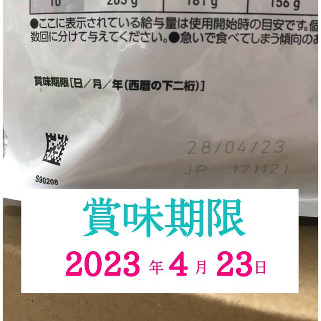 ROYAL CANIN(ロイヤルカナン)のロイヤルカナン ドッグフード  1kg  シニア犬用 エイジングケア その他のペット用品(ペットフード)の商品写真