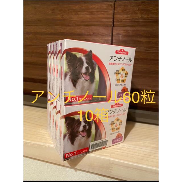 犬用アンチノール60粒入り10箱　専用品