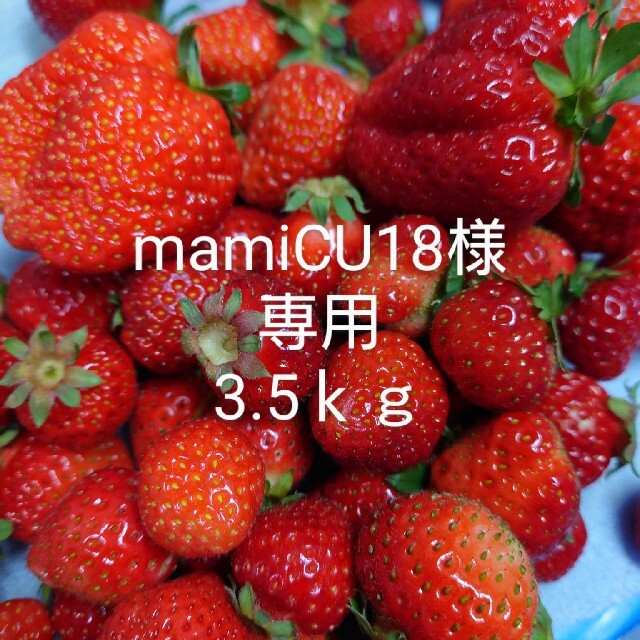 コメントお オーダー受付❁いちご by プロフ必ず読んで下さい