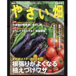 やさい畑　2022年4月　春号(専門誌)