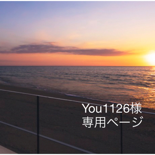 You1126様　専用ページ(その他)