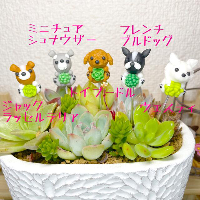 ハンドメイド　ガーデンピック　多肉植物を抱っこワンちゃんピック　多肉植物 ハンドメイドのフラワー/ガーデン(その他)の商品写真