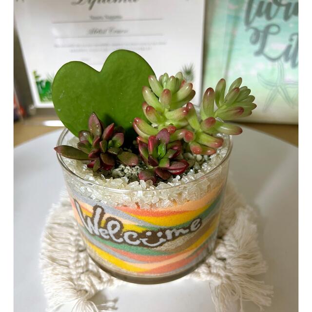 カラーサンドアート多肉植物母の日ギフト カラーサンドアート多肉植物母の日ギフト