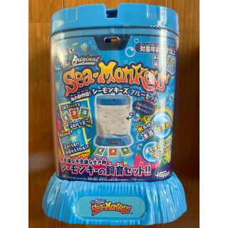 【在庫処分】24個（6×4）まとめ買い 海の動物園！シーモンキーズ ブルーセット