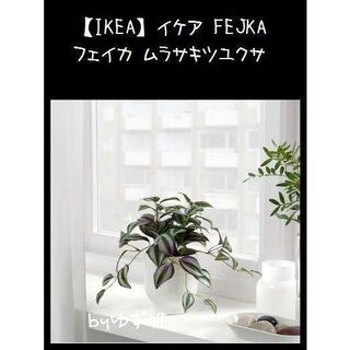 イケア(IKEA)の【IKEA】イケア FEJKA フェイカ ムラサキツユクサ(置物)