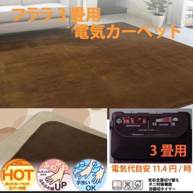 ともこ様専用♡美品！ホットカーペット☆送料込み インテリア/住まい/日用品のラグ/カーペット/マット(ホットカーペット)の商品写真