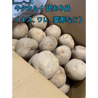 ●訳あり じゃがいも キタカムイ ●10キロ ●北海道産(野菜)