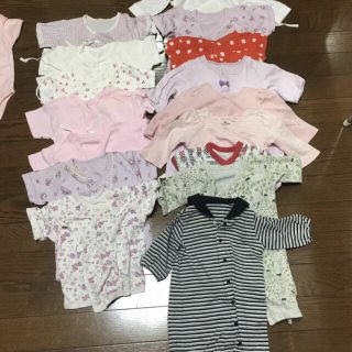 にゃんこさん　専用　(その他)