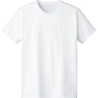 DALUC 4.6オンス FINE FIT T-SHIRT ホワイト　DM501(Tシャツ/カットソー(半袖/袖なし))