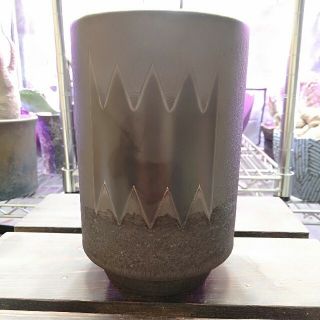 valiem ビター 植木鉢 激レア | www.beykoztipmerkezi.com