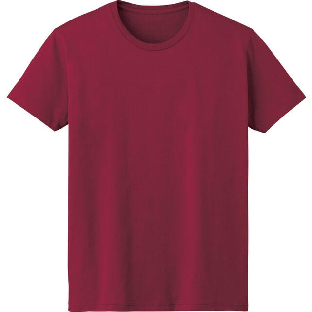 4.6オンス FINE FIT T-SHIRT バーガンディ　DM501 メンズのトップス(Tシャツ/カットソー(半袖/袖なし))の商品写真