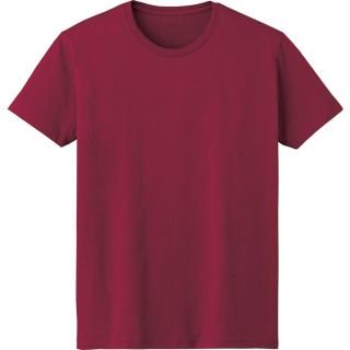 4.6オンス FINE FIT T-SHIRT バーガンディ　DM501(Tシャツ/カットソー(半袖/袖なし))