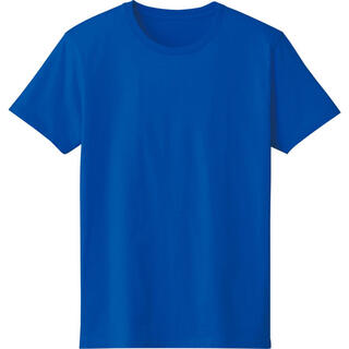 4.6オンス FINE FIT T-SHIRT ロイヤルブルー　DM501(Tシャツ/カットソー(半袖/袖なし))