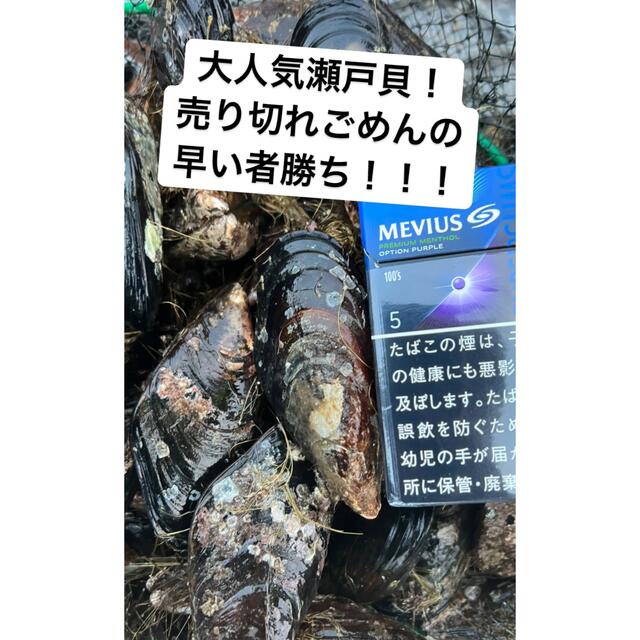 出汁が染み渡る瀬戸貝！ 食品/飲料/酒の食品(魚介)の商品写真