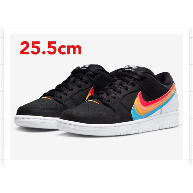 Polaroid × Nike SB Dunk Low Pro \