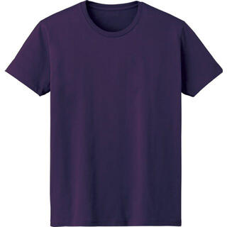 4.6オンス FINE FIT T-SHIRT バイオレット　DM501(Tシャツ/カットソー(半袖/袖なし))