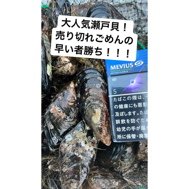 出汁が染み渡る瀬戸貝！ 食品/飲料/酒の食品(魚介)の商品写真