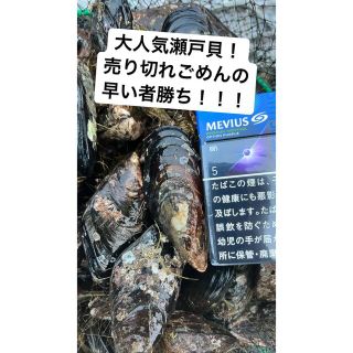 出汁が染み渡る瀬戸貝！！(魚介)