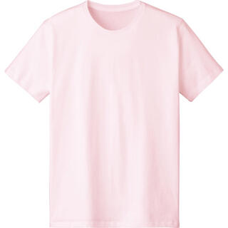 4.6オンス FINE FIT T-SHIRT シャーベットピンク　DM501(Tシャツ/カットソー(半袖/袖なし))