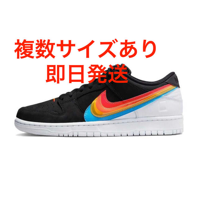 Polaroid ポラロイド Nike SB Dunk ダンク Low Pro