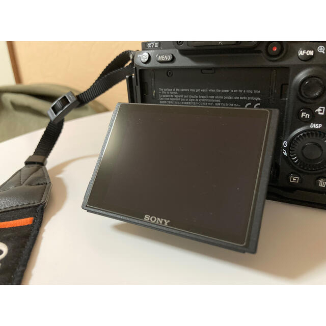 SONY α7 III ILCE-7M3 + レオフォトL型プレート800001N秒ISO感度