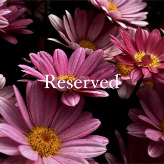 reserved (ピアス)