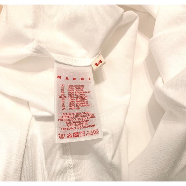 Marni(マルニ)のマルニ　ロゴTシャツ　ホワイト　14 レディースのトップス(Tシャツ(半袖/袖なし))の商品写真