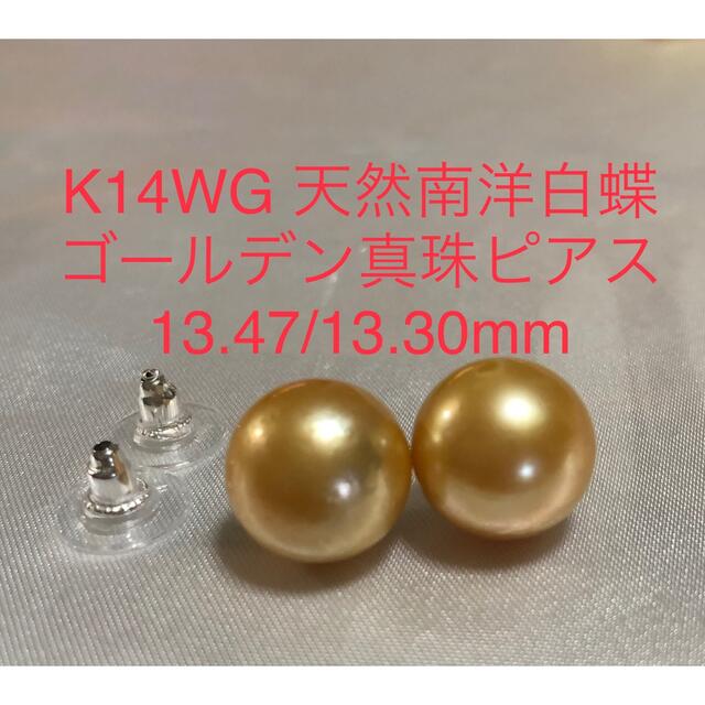 K14WG 天然南洋白蝶ゴールデン真珠ピアス　13.47/13.30mm