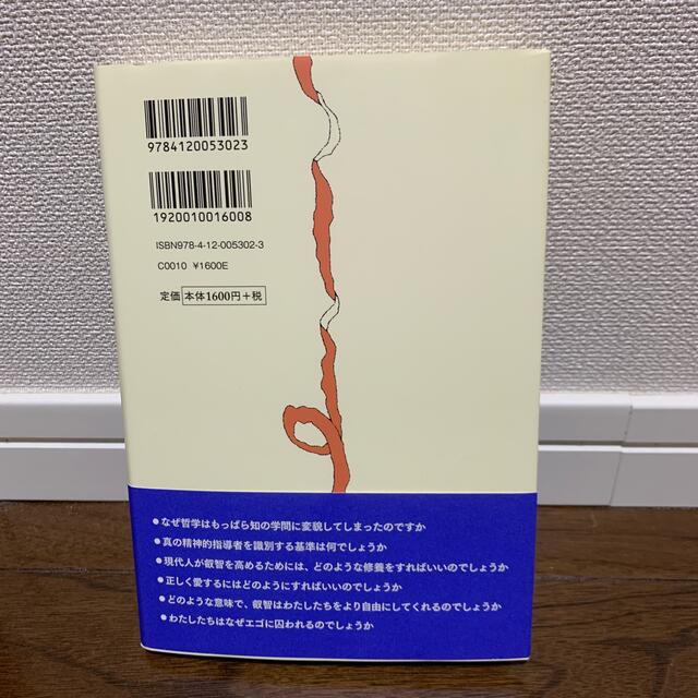 哲学のやさしく正しい使い方 叡智への道 エンタメ/ホビーの本(文学/小説)の商品写真