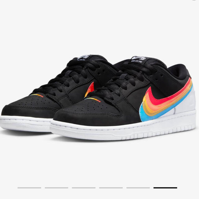 Polaroid × Nike SB Dunk Low Pro QS