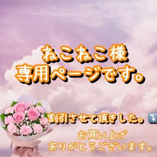 ナチュラルビューティーベーシック(NATURAL BEAUTY BASIC)の【新品に近い　春物】NBB デニムジャケット　レディース(Gジャン/デニムジャケット)