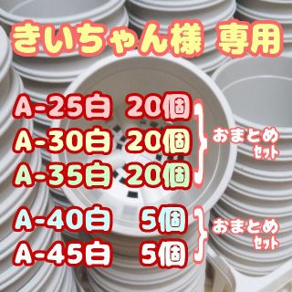 プラ鉢60個おまとめセット【2.5号・3号・3.5号鉢各20個】他プレステラ多肉(プランター)