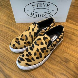 スティーブマデン(Steve Madden)のスティーブ マデン Steve Madden レディース 靴 スニーカー US8(スニーカー)